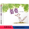 葡萄 [正版]葡萄绘本 邓正祺 明天出版社信宜系列经典儿童幼儿园早教老师国外获奖故事书3-4-5-6-7-8-10岁一年