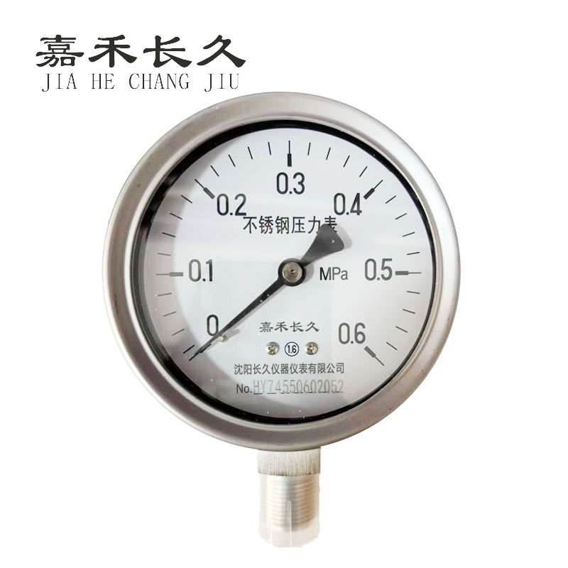 嘉禾长久+不锈钢耐温压力表检测定制型+Y100BF+块 0-0.6Mpa