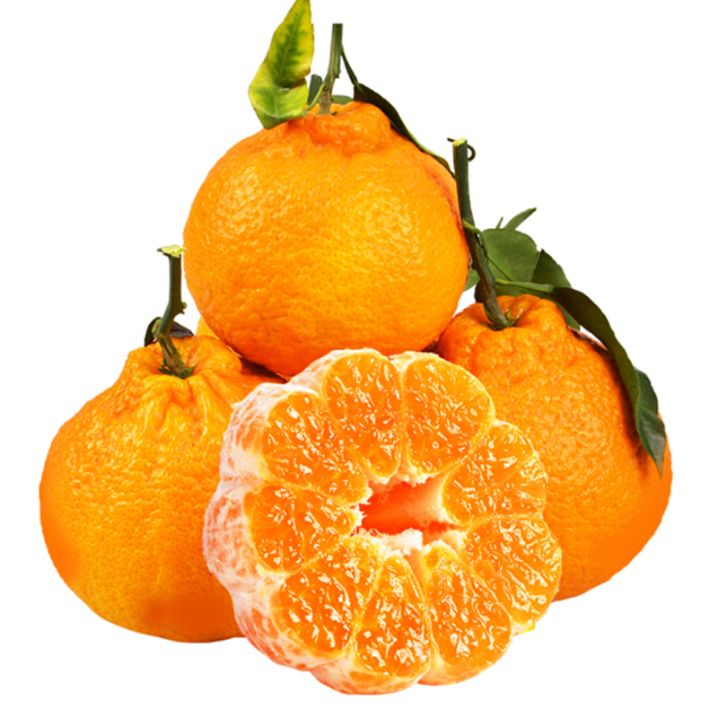 四川不知火丑橘5斤大果12个以为丑桔丑八怪橘子苏宁新鲜水果非耙耙柑春见 