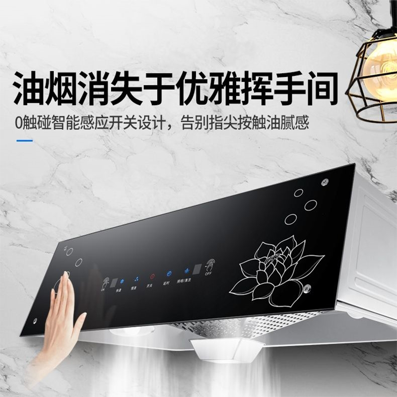 志高家用租房顶吸式中式烟机厨房脱排小型吸油烟机壁挂大吸力H093C