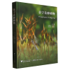 音像景宁苔藓植物(精)任昭杰