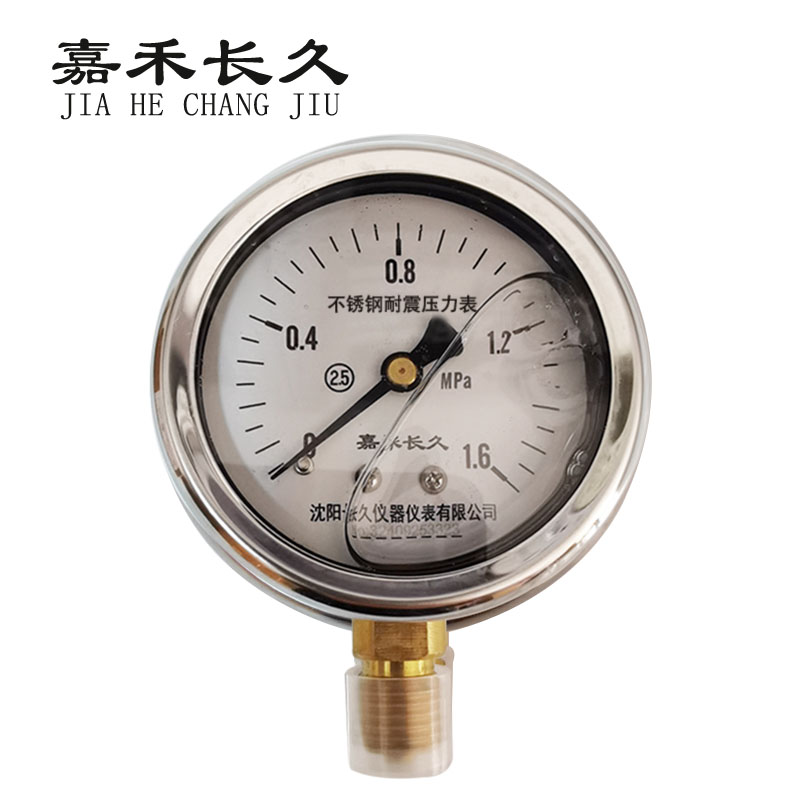 嘉禾长久+不锈钢耐震压力表检测定制型+YN60BF+块 0-1.6Mpa
