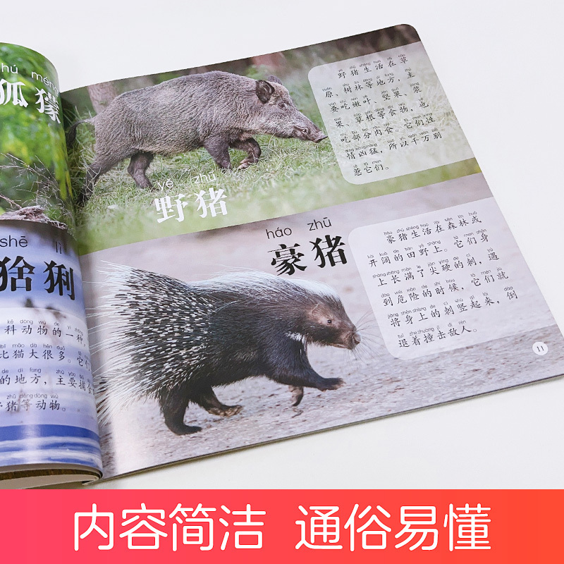 认标志 [正版]爱德少儿童眼观世界8册4-8岁儿童看图识物书启蒙益智早教书百科全书大百科全套恐龙百科全书认识标志功能汽车