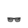 Ray-Ban男士休闲风太阳镜通用镜架材质轻便时尚户外防护眼镜