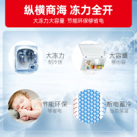 星星(XINGX) BD/BC-519E 519升冰柜 冷柜 卧式大容量商厨商用保鲜设备 深冷速冻 电脑温控