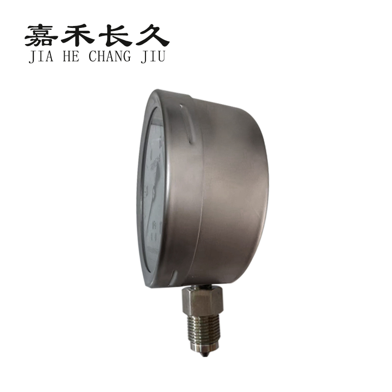 嘉禾长久/不锈钢耐震压力表/YN100BF/0*250MPA/可活动螺纹/块高清大图