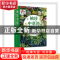 正版 袖珍中草药野外识别图鉴 李宗清,杨高华,岳桂华 化学工业出