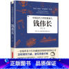 [正版]中国近代力学的奠基人钱伟长 给孩子读的中国榜样故事 书籍我国近代力学与应用数学的奠基者之一杰出的教育家