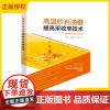 2025新书 高温砂岩油藏提高采收率技术 王亚洲 王贵阳 王能成 泡沫调驱机理研究 油田典型高温砂岩油藏泡沫调驱体系及配