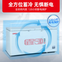 星星(XINGX) BD/BC-519E 519升冰柜 冷柜 卧式大容量商厨商用保鲜设备 深冷速冻 电脑温控