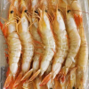桂之海野生大明虾400克*3包[16-20只/包]新鲜冷冻北部湾海捕活冻对虾海鲜