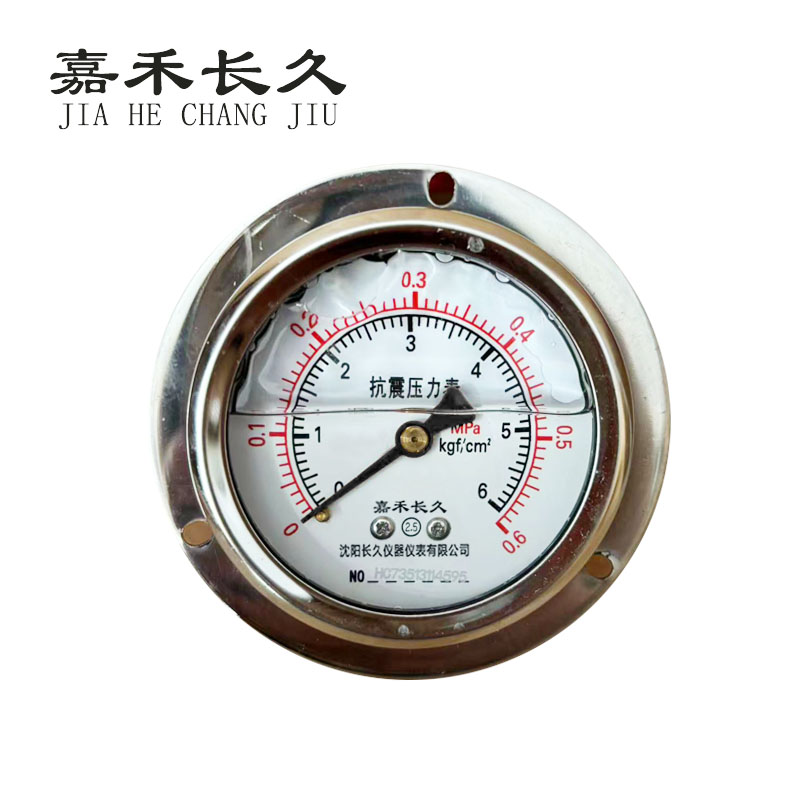 嘉禾长久+耐震压力表轴向带边检测定制型+YTN60ZT+块 0-0.6Mpa