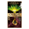 欧莱雅(LOREAL)臻萃精华油染发霜 5.25烟晶紫藤(植萃精华油 无氨水遮盖白发 花香型)