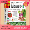 [正版新书]图解蔬菜食疗养生速查手册 蔬菜水果 素食菜谱 排毒养颜 瘦身美容 四季养生 营养生书 食疗养生大全 饮食与