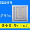 浴霸集成吊顶洗澡间卫生间黄金管碳纤维超薄浴霸灯取暖灯浴室30|黄金管2管1000瓦