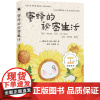 蜜蜂的秘密生活