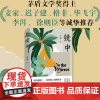 [正版]镜中 艾伟长篇小说 媲美不能承受的生命之轻的治愈力作跨越中国缅甸美国日本四国麦家迟子建徐则臣毕飞宇正版书籍