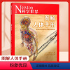 科学世界-图解人体手册 [正版]Newton科学世界杂志2023年典藏版增刊 图解人体手册 科学技术探索实验科普尹烨生命