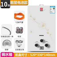纳丽雅(Naliya)煤气燃气热水器天然气液化气家用强排式8升10升12升即热式_10升电池款纯铜水箱显示_天然气