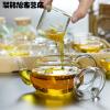 耐热过滤玻璃茶壶家用泡茶壶小号花茶壶玻璃水壶茶具煮冲茶器简约