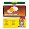 [2022新题型]华研外语专四语法与词汇1000题 专业四级英语词汇语法专项训练 英语专业四级考试书专4TEM-4搭专业