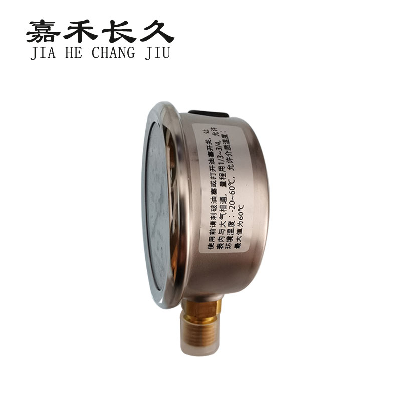 嘉禾长久+不锈钢耐震压力表检测定制型+YN60BF+块高清大图