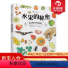 [正版] 水果的秘密 盛口满的手绘自然图鉴 日本童书研究会儿童插图科普百科绘本书籍