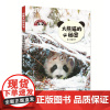 探秘大自然丛书 大熊猫的秘密