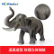 纽奇(Nukied)儿童动物玩具仿真模型男孩玩具3-6岁野生动物益智玩具 动物王国12件套[赠手册一本]