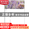 正版 好素质是这样养成的 编者:徐先玲 中国商业 9787520800631