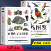 [正版]全2册 矿物与岩石图鉴+鸟图鉴 矿石百科全书 231种矿物与65种岩石鉴别指南 矿石特征知识大百科书 鸟类图鉴
