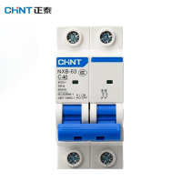 正泰(CHNT) 过载空气开关 NXB-63 2P C40 3个/组（单位：组）
