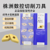 ZCC·CT 刀片 DNMG 150608-PM YBC252 1片