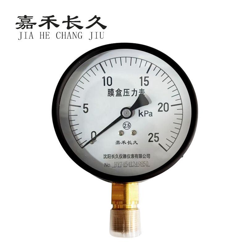 嘉禾长久+膜盒压力表检测定制型+YE100+块 0-25Kpa