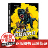 后浪正版 超级恐龙1:迅猛龙男孩 系列冒险小说献给所有男孩女孩的成长之书奇幻冒险小说 浪花朵朵童书