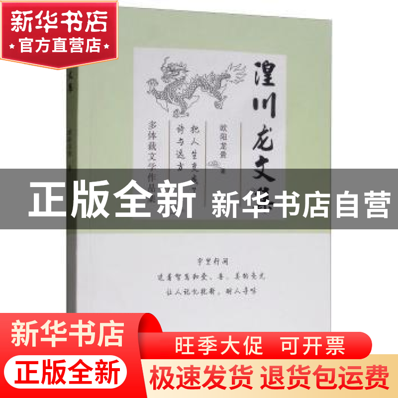 正版 湟川龙文集:多体裁文学作品集:把人生变成了诗与远方 欧阳龙