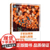 [店教材]手机短视频拍摄与剪辑(微课版)9787115645746 张艳 钱昌男 李纪云 人民邮电出版社