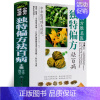 [正版]小偏方胜名医 偏方祛百病 民间偏方 中医方 药方 秘方 土方汇编 民间偏方大全中草药彩色图谱 中医养生保健 中医