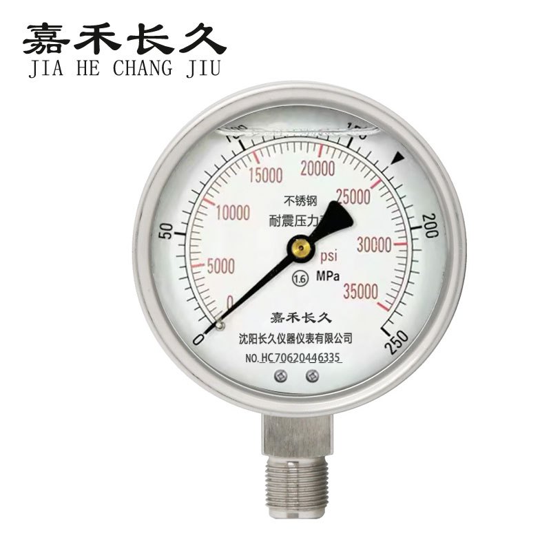 嘉禾长久 不锈钢耐震压力表检测定制型 YTN100BF 块 YTN100BF0-250Mpa