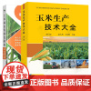 玉米生产技术大全+玉米病虫害绿色防控彩色图谱 玉米优质高产生长异常及诊治 玉米科学施肥 玉米病虫害诊断与防治 玉米种植技