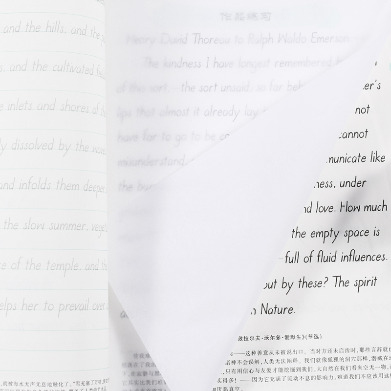 英文-手写印刷体(全视频教程) [正版]漂亮英文一本通英文字帖意大利斜体手写印刷体圆体于佩安英语字帖高中初中生连笔字书法
