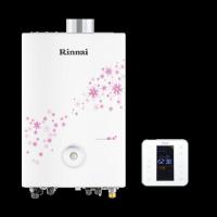 林内25KW进口冷凝型两用炉LL1GBD25-25K88 Plus