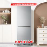 容声(Ronshen)170升两门双门家用小型冰箱节能保鲜低噪冷藏公寓租房宿舍小巧不占地家用电冰箱BCD-170D11D