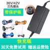 双轮扭扭车三孔充通用型 小米9号平衡车充电器九号三孔通用36v42v四孔63v54v锂电池电源线