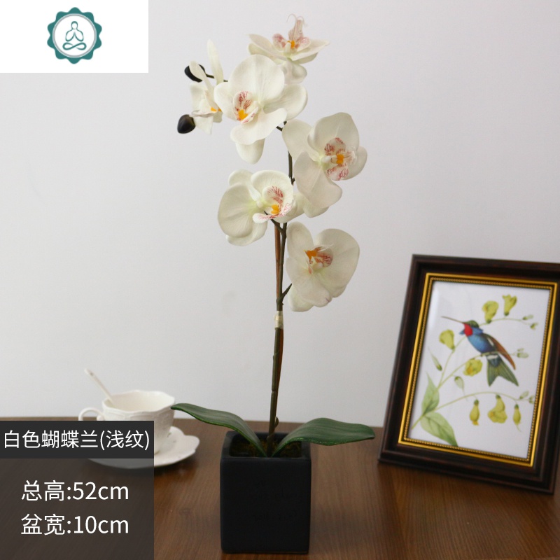 仿真蝴蝶兰仿真花客厅装饰花摆件餐桌摆设花卉塑料假花盆栽手工花 封后 粉红蝴蝶兰(两支)仿真植物