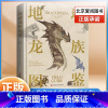 [正版]地球龙族图鉴JST 献给龙族爱好者的大开本精装典藏封面烫金压凹工艺 93个品种的龙族生物 龙族图鉴 龙族设定
