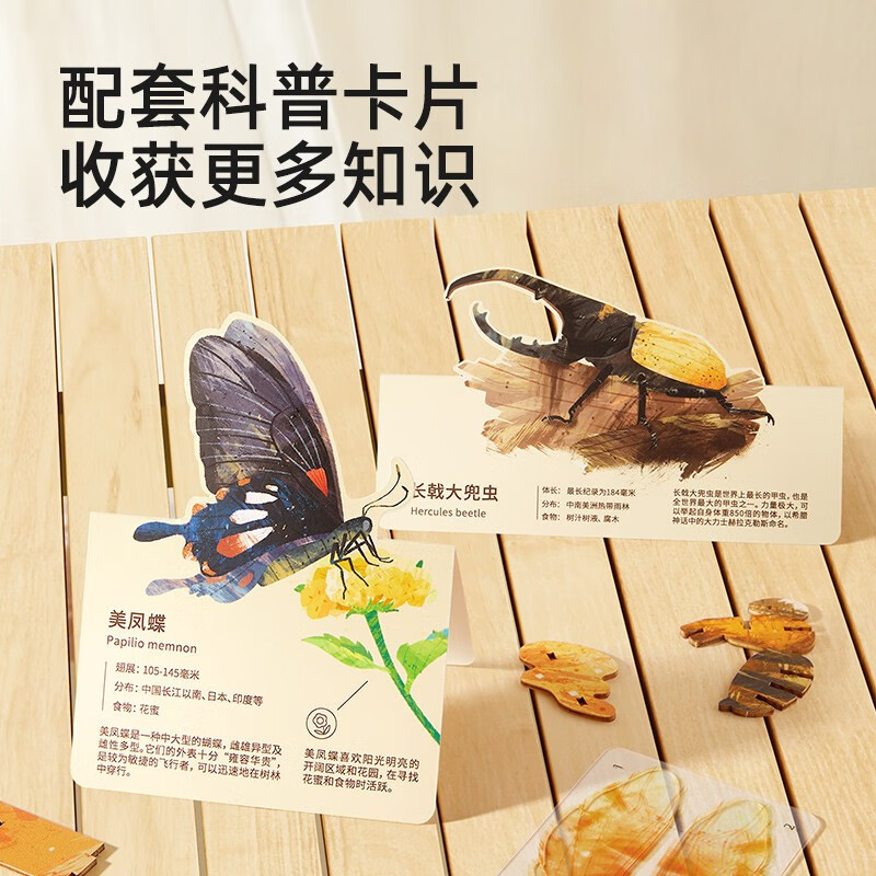 mideer弥鹿昆虫3d立体拼图玩具手工diy儿童益智积木质制拼装模型高清大图