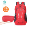 BANGDOUL驼可折叠双肩包男女超轻旅行户外便携背包大容量皮肤包35L45L