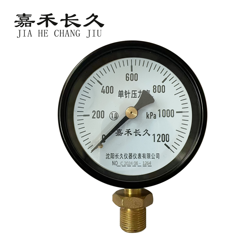 嘉禾长久+风表(压力表)+Y100 1.6级+块 0-1200Kpa