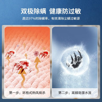 松下(Panasonic)滚筒洗衣机 10kg洗烘一体 泡沫净 光动银双重除菌 双极除螨 XQG100-LD256